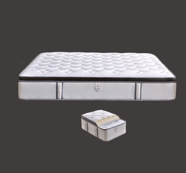 龙8-long8(国际)官方网站